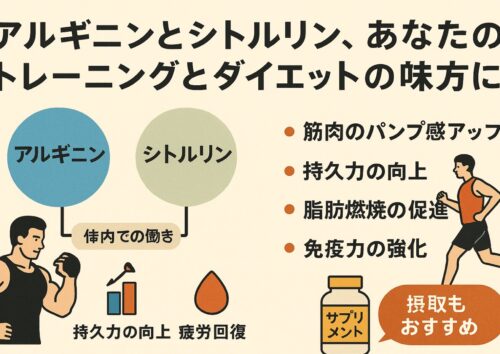 アルギニンとシトルリンの違い